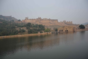 Jaipur: Tour di un giorno del Forte di Amber, del Palazzo della Città e dell'Hawa Mahal