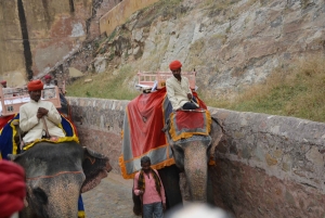 Jaipur: Tour di un giorno del Forte di Amber, del Palazzo della Città e dell'Hawa Mahal