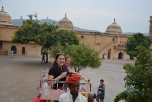 Jaipur: Tour di un giorno del Forte di Amber, del Palazzo della Città e dell'Hawa Mahal