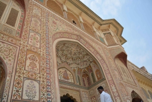 Jaipur: Tour di un giorno del Forte di Amber, del Palazzo della Città e dell'Hawa Mahal