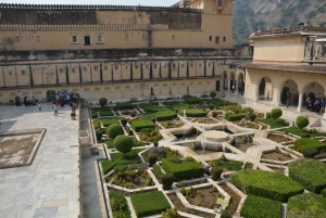 Jaipur: Tour di un giorno del Forte di Amber, del Palazzo della Città e dell'Hawa Mahal