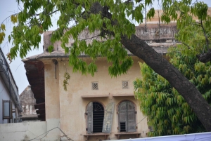 Jaipur: Tour di un giorno del Forte di Amber, del Palazzo della Città e dell'Hawa Mahal