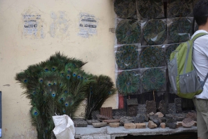 Jaipur: Tour di un giorno del Forte di Amber, del Palazzo della Città e dell'Hawa Mahal