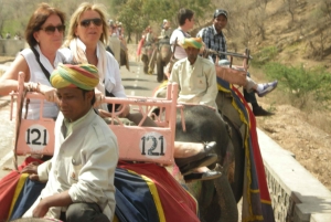 Jaipur: Tour di un giorno del Forte di Amber, del Palazzo della Città e dell'Hawa Mahal