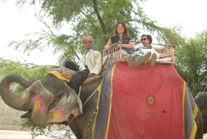Jaipur: Tour di un giorno del Forte di Amber, del Palazzo della Città e dell'Hawa Mahal