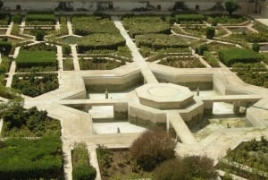 Jaipur: Tour di un giorno del Forte di Amber, del Palazzo della Città e dell'Hawa Mahal