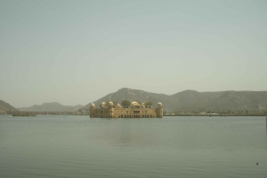 Jaipur: Tour di un giorno del Forte di Amber, del Palazzo della Città e dell'Hawa Mahal