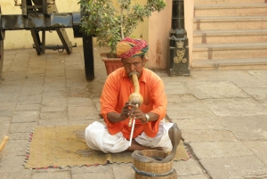 Jaipur: Tour di un giorno del Forte di Amber, del Palazzo della Città e dell'Hawa Mahal