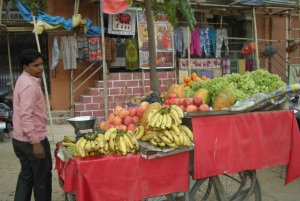 Jaipur: Tour di un giorno del Forte di Amber, del Palazzo della Città e dell'Hawa Mahal
