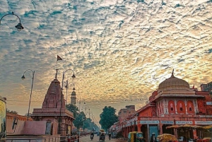 Jaipur: Amber Fort Full or Half-Day Guided Tour by Car