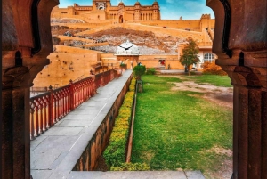 Jaipur: Amber Fort Full or Half-Day Guided Tour by Car