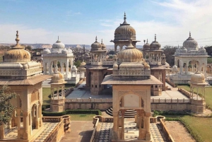 Jaipur: Amber Fort Full or Half-Day Guided Tour by Car