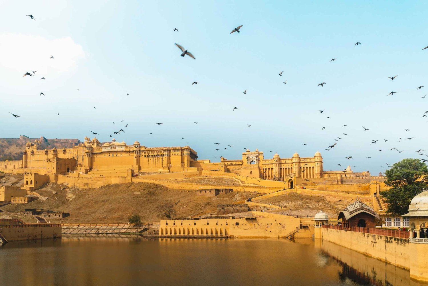Jaipur: Guidet byvandring til Amber Fort
