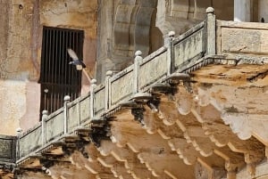 Jaipur: Amber Fort, Stepwell & Blind Love Temple Guided Tour