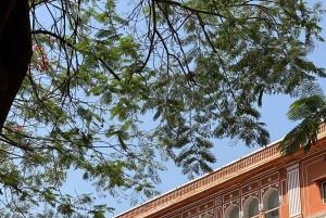 Jaipur: Guidet cykeltur til Ambers kulturarv med morgenmad