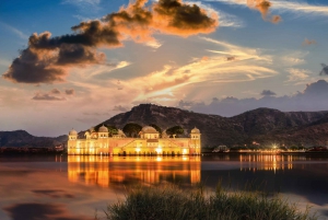 Jaipur Amer Fort, Jal Mahal & Stepwell Privat halvdagsutflykt