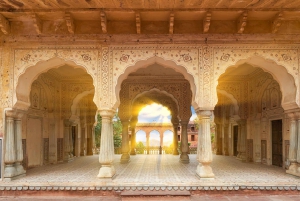 Jaipur Amer Fort, Jal Mahal & Stepwell Privat halvdagsutflykt