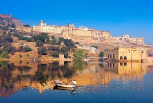 Jaipur Amer Fort, Jal Mahal & Stepwell Privat halvdagsutflykt