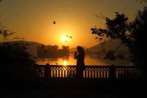 Jaipur Amer Fort, Jal Mahal & Stepwell Privat halvdagsutflykt