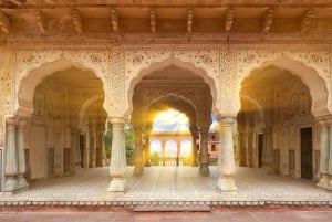 Jaipur Amerin linnoitus, Jal Mahal ja Stepwell Yksityinen puolipäiväinen retki