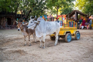 Kolacja w wiosce Jaipur Chokhi Dhani z transferem i przewodnikiem