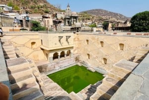 Jaipur: City Tour Full-Day Sightseeing with Guide