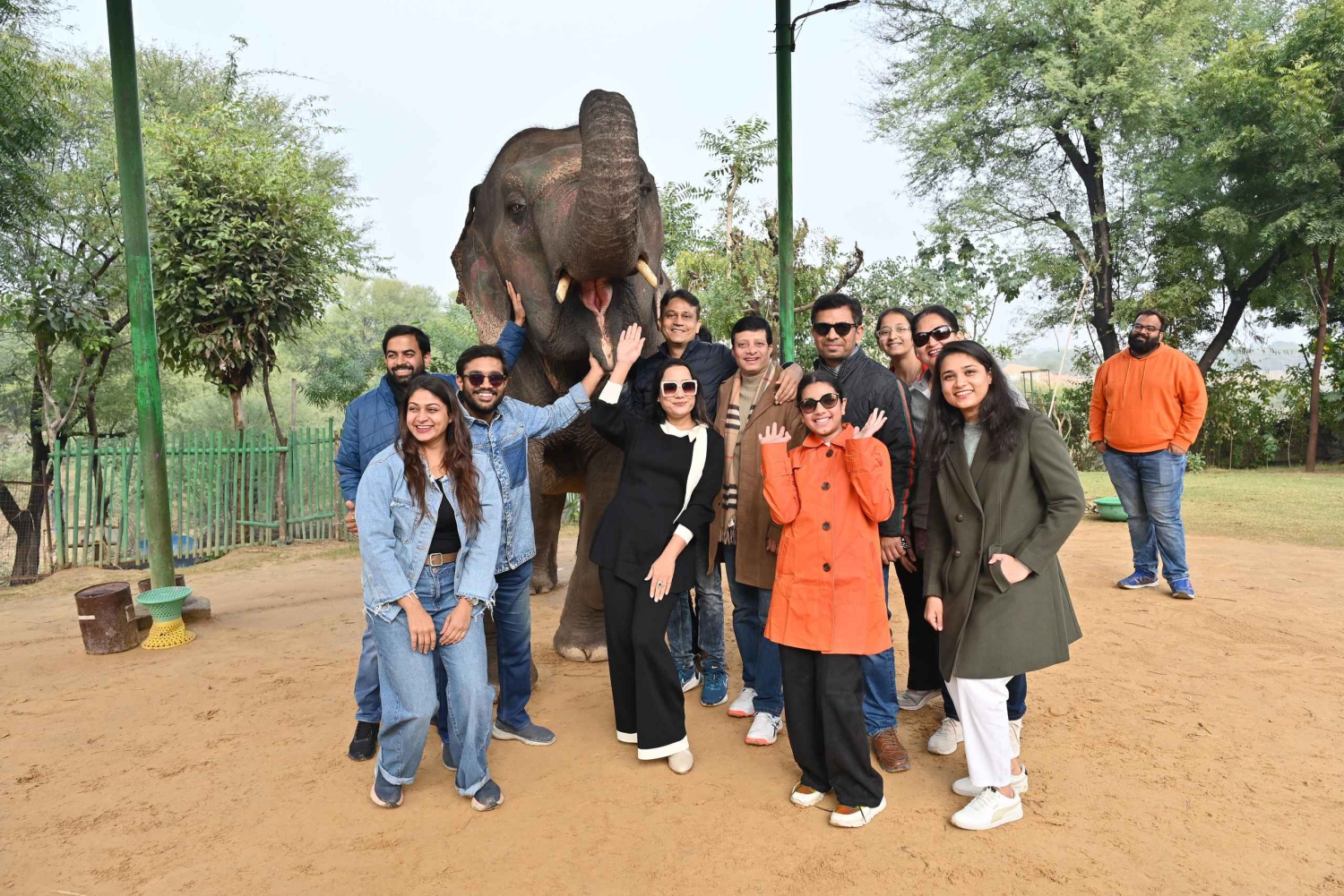 Jaipur: Stadtführung mit Elefanten-Interaktion