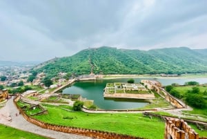 Jaipur: Stadtführung mit Elefanten-Interaktion