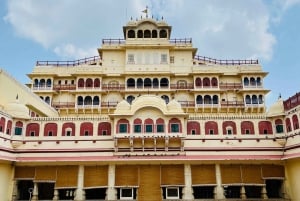 Jaipur: Stadtführung mit Elefanten-Interaktion