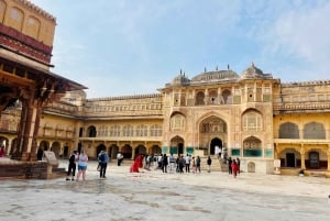 Jaipur: Stadtführung mit Elefanten-Interaktion