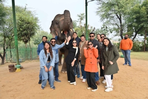 Jaipur: Stadtführung mit Elefanten-Interaktion