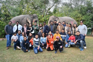 Jaipur: Stadtführung mit Elefanten-Interaktion