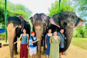 Jaipur: Stadtführung mit Elefanten-Interaktion