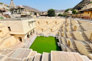 Jaipur: Stadtführung mit Elefanten-Interaktion