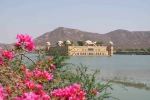 Desde Nueva Delhi: Excursión de un día a Jaipur en tren o en coche