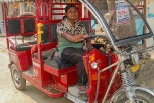 Jaipur : visite en e-rickshaw + visite à pied + visite culinaire