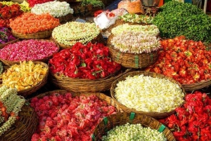 Jaipur : visite en e-rickshaw + visite à pied + visite culinaire