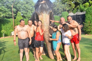 'Jaipur Elephant Experience: Bond, Connect, and Learn'