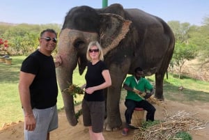 Vanuit Delhi: 4-daagse Gouden Driehoek Tour & Ranthambore Safari
