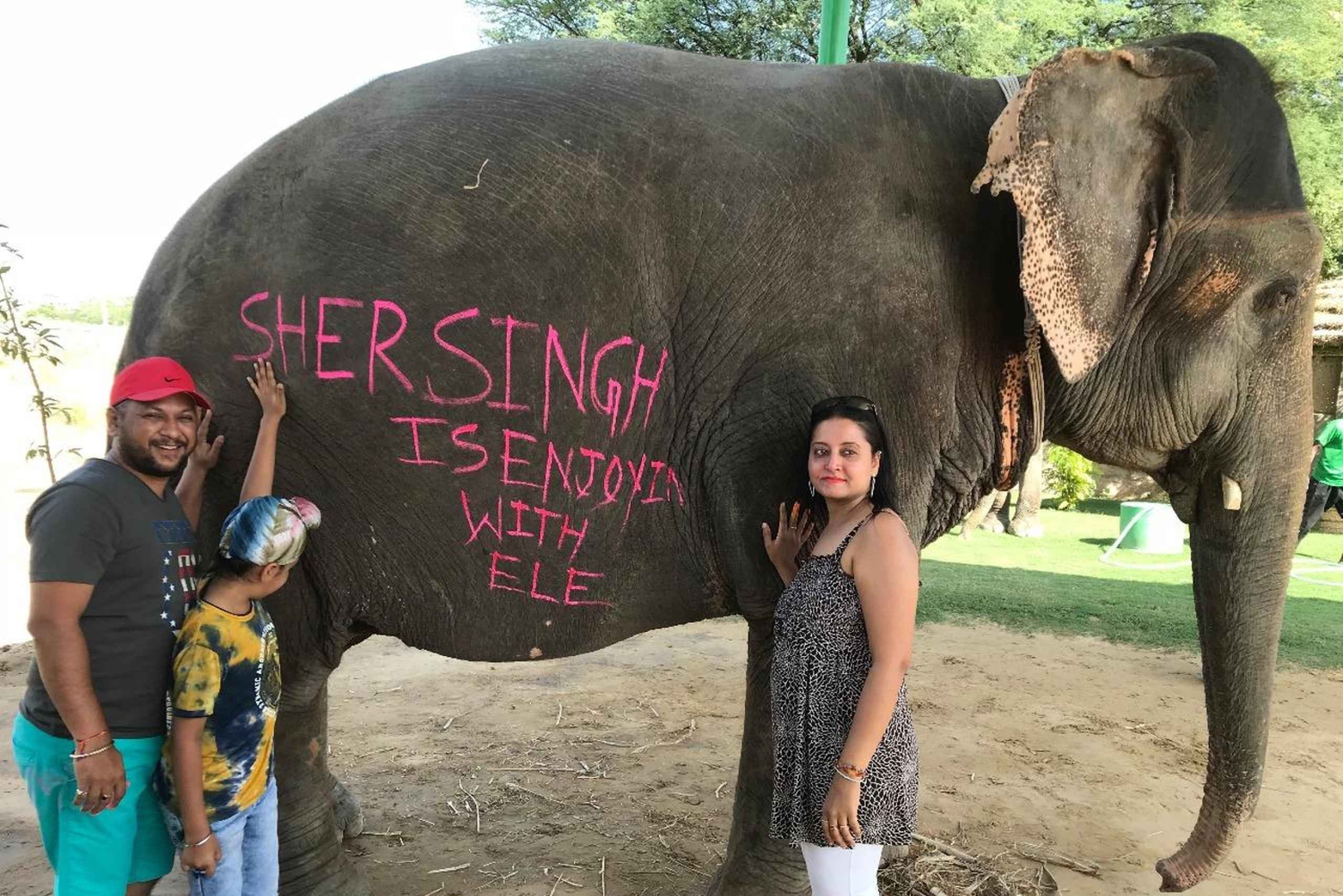 Jaipur: Tour di interazione con gli elefanti