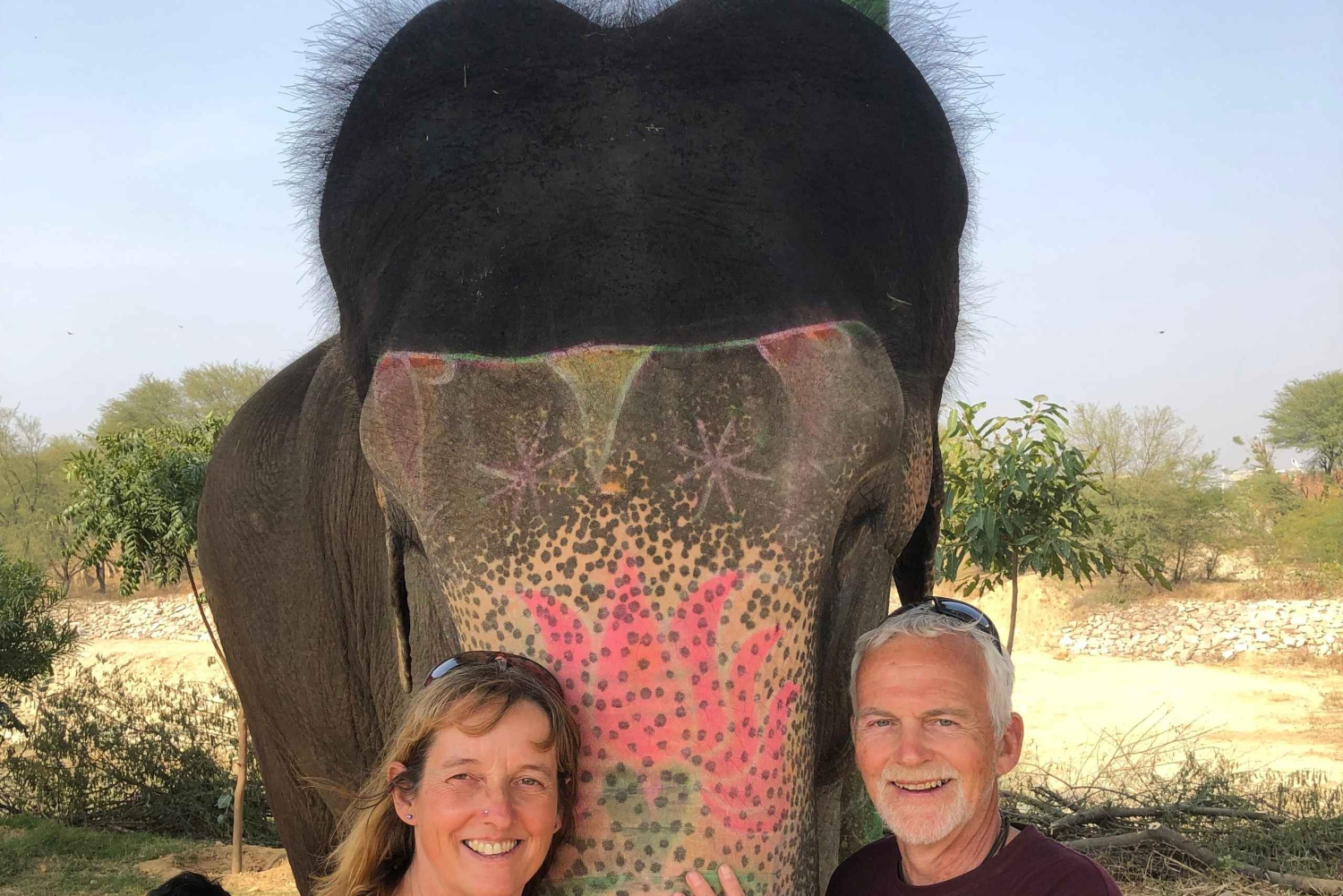 Jaipur: Tour di interazione con gli elefanti