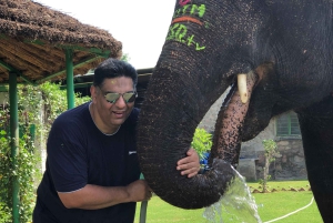 Jaipur: Tour di interazione con gli elefanti