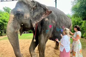 Jaipur: Tour di interazione con gli elefanti