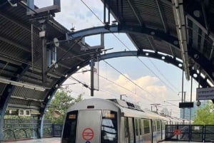 Elefantlandsbyen i Jaipur: opplevelsen med fôring, bading og ridning