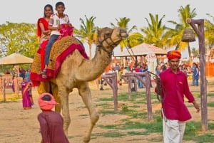 Jaipur: Visita cultural nocturna y cena en Chokhi Dhani