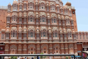 Jaipur: Full-Day City Tour with Camel Ride and Monkey Temple