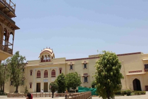 Jaipur: Full-Day City Tour with Camel Ride and Monkey Temple