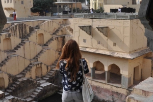 Jaipur: Ganztägige Stadtrundfahrt mit Reiseleiter | Private Tour