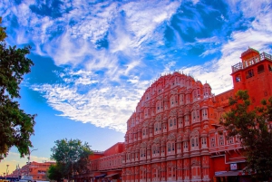 Jaipur: Koko päivän opastettu kaupunkikierros ja vierailu apinatemppelissä