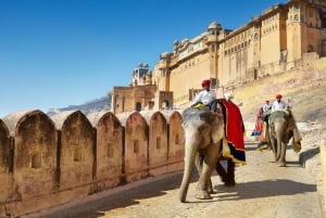 Jaipur: Full-Day Guided Sightseeing Tour By Car
